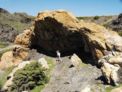 Roca del cranc Roca del cranc