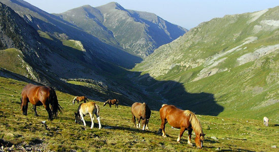 Coma del Freser Coma del Freser