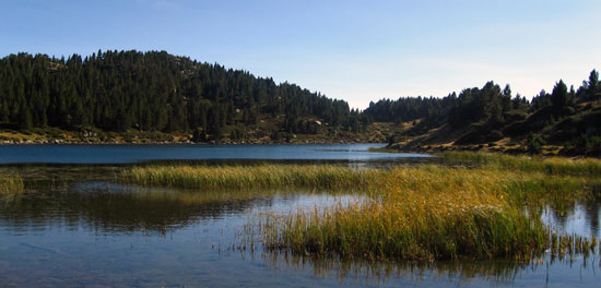 Estany Negre Estany Negre