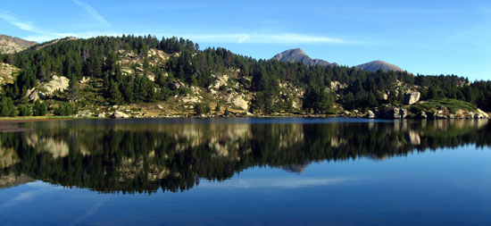 Estany del Viver Estany del Viver