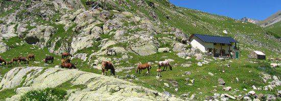 Refugi de Coma de Vaca Refugi de Coma de Vaca