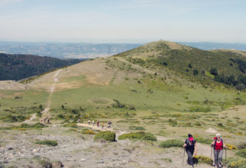 Pla de la Barraca