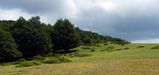 Camí a Sant Segimon