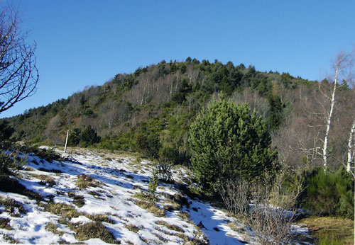 Cim del Montfalgars Cim del Montfalgars