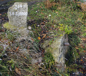 Font Sa Guarda