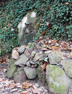 Font del Verder Font del Verder