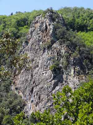 Roca Corbera