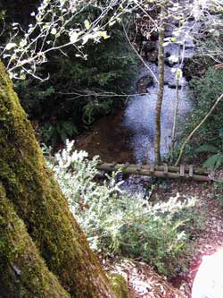 Als peus del roure Als peus del roure