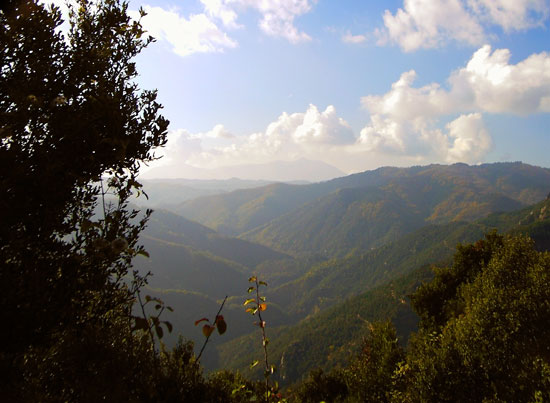 Vista des de La Rovira Vista des de La Rovira