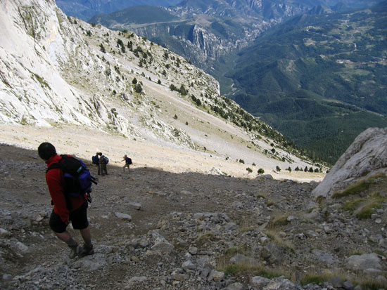 Tartera Tartera