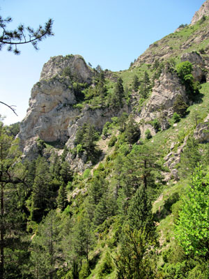 Camí de baixada Camí de baixada