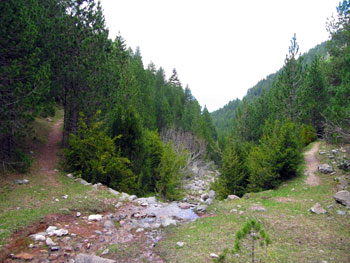 Torrent de Canaletes