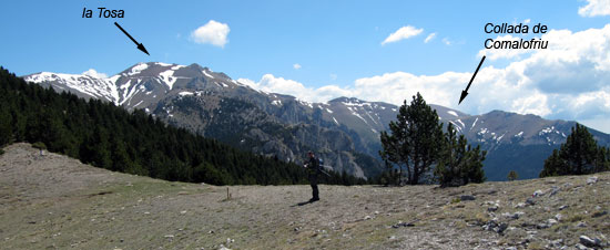 Vista a l'est des del coll de la Miquela