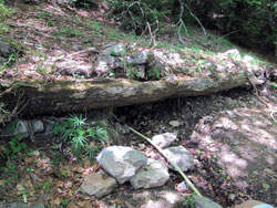 Font de la Cabrera