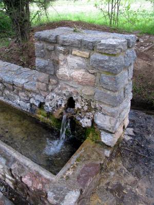 Font Freda Font Freda