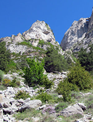 Part superior de la tartera Part superior de la tartera