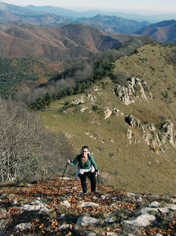 Pujada al Comanegra