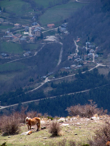 Navà Navà