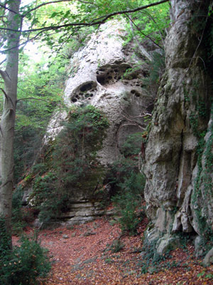 Fageda Fageda