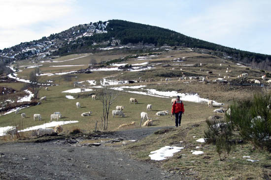 Inici del camí Inici del camí