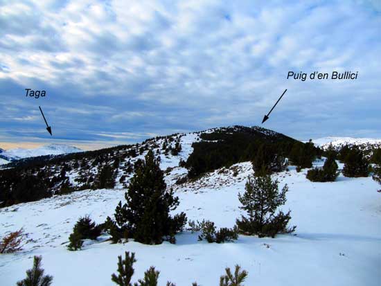 Puig d'en Bullici Puig d'en Bullici
