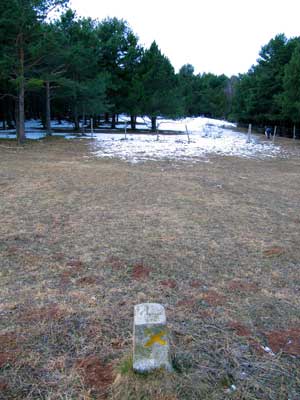 Primer terme Primer terme