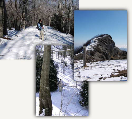 Camí del Puigsacalm Camí del Puigsacalm