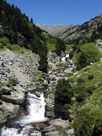 Riu Núria Riu Núria