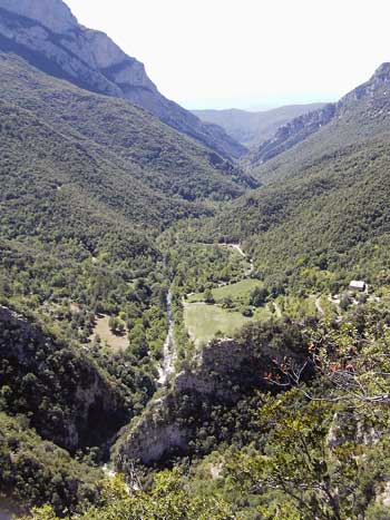 Vall de la riera de Sant Aniol