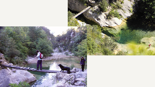 Pontet de fusta a la zona del Goleró Pontet de fusta a la zona del Goleró