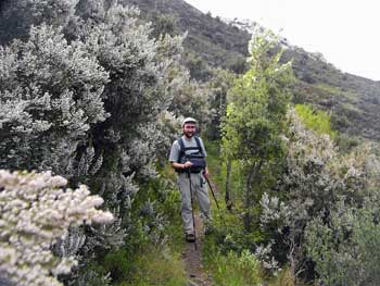 Camí del Coll de Pallerols