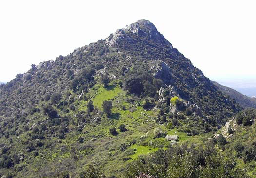 Coll de Pallerols Coll de Pallerols