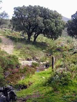 Rec de Puig d'Estela Rec de Puig d'Estela