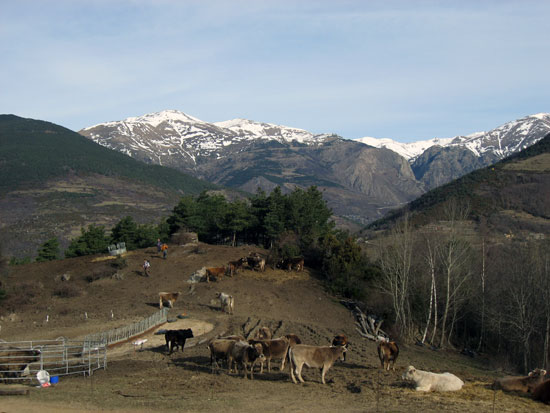 Collada del Manter Collada del Manter